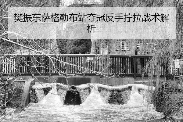樊振东萨格勒布站夺冠反手拧拉战术解析