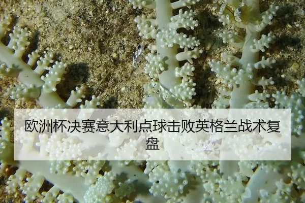 欧洲杯决赛意大利点球击败英格兰战术复盘